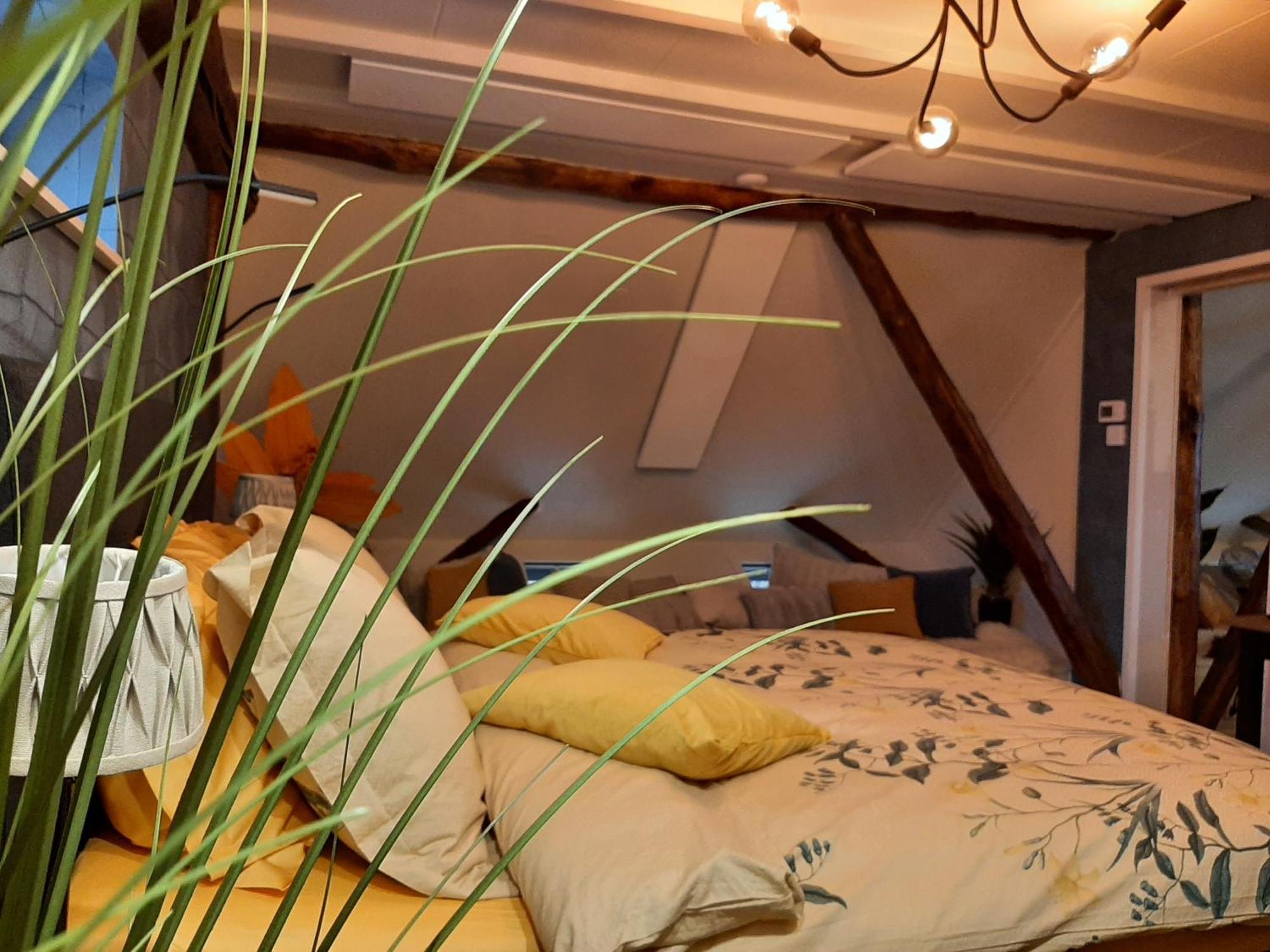 Loft De Hooizolder Met Sauna Bij Te Boeken Gees Buitenkant foto
